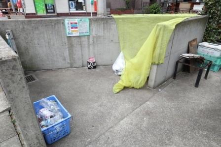 オリーブフォレスト