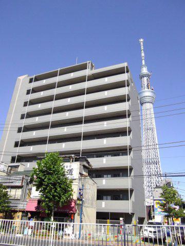 ホタカリュミエール・イワタ