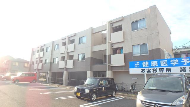 ブルーム・はなみずき