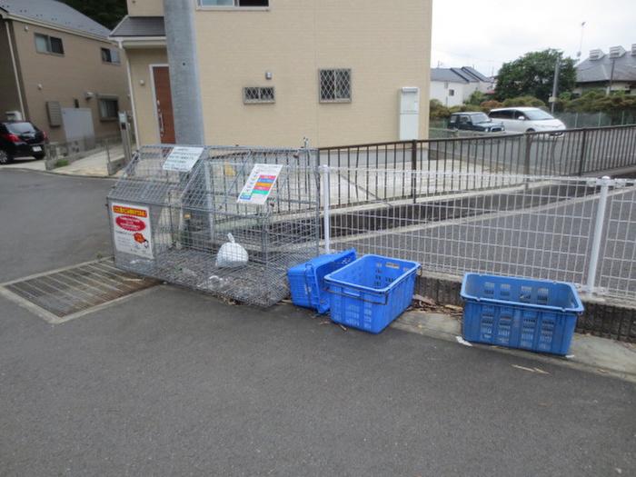 ラテンドレス