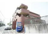 MESA VERDE 西陣