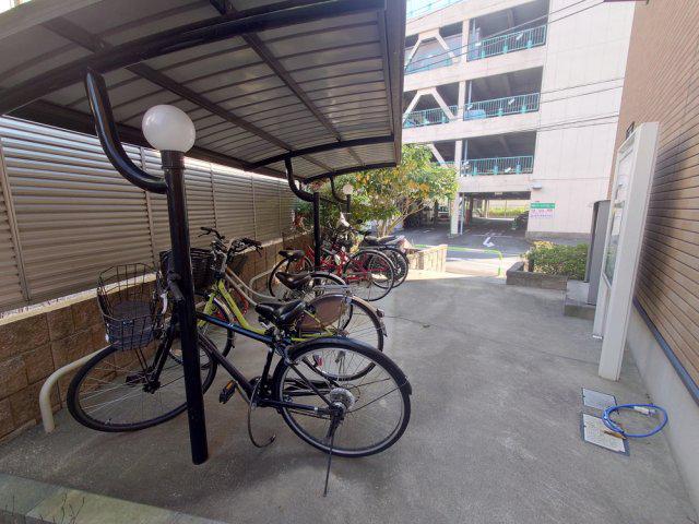 レオネクストやまとII