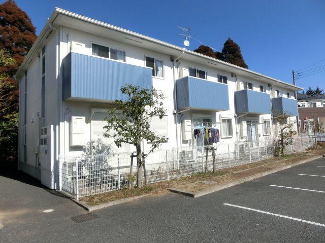 エムティーパイン