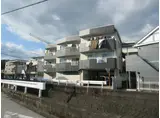 マンションみち