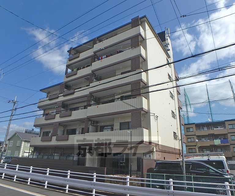 サンフローラ桂