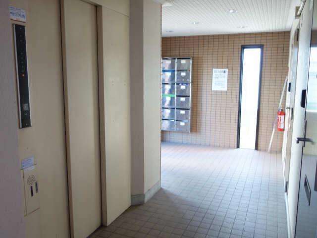 エクセルフジタ