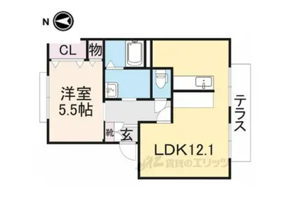 フレグランスU(1LDK/1階)の間取り写真