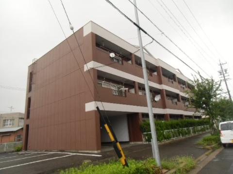 タウニーロイヤル