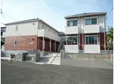 プリムローズA