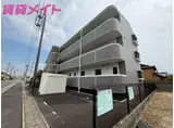 ミレニアム楠