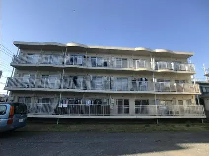 中新井ブルームハイツ(3DK/1階)の外観写真