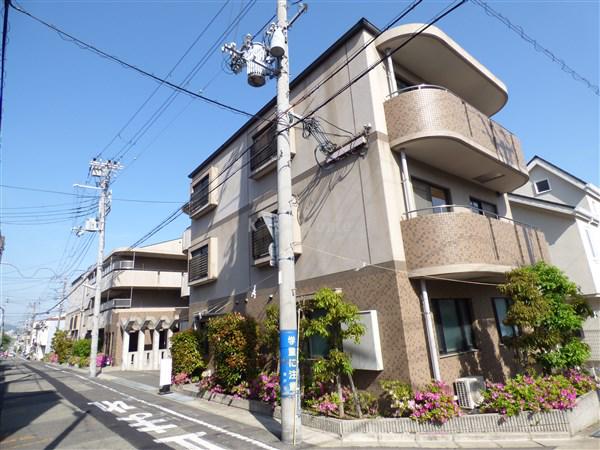エリム摩耶