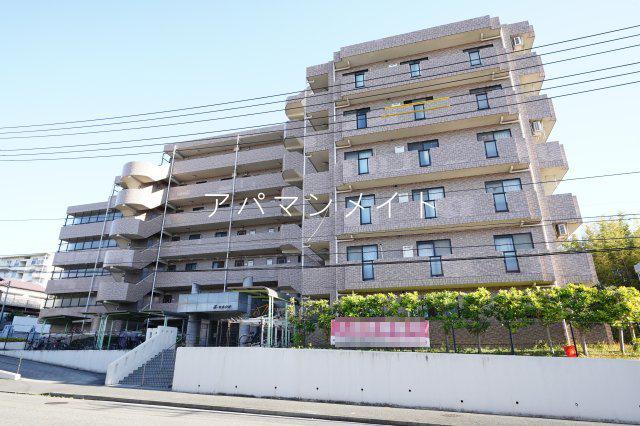 藤セルシオ