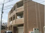 シャロングレース