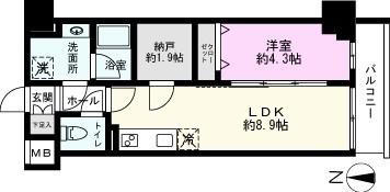 アイル プレミアム東京西新井(1SLDK/1階)の間取り写真