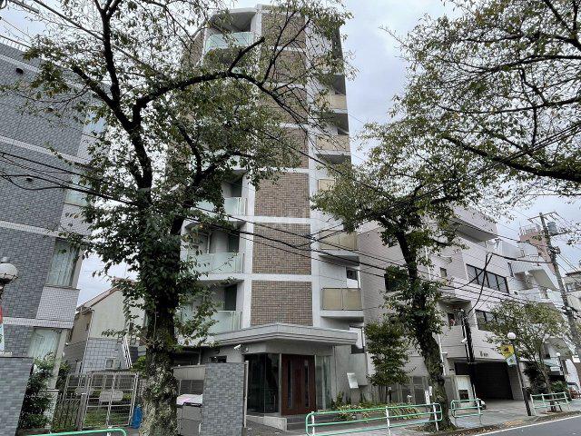 エルセレッソ