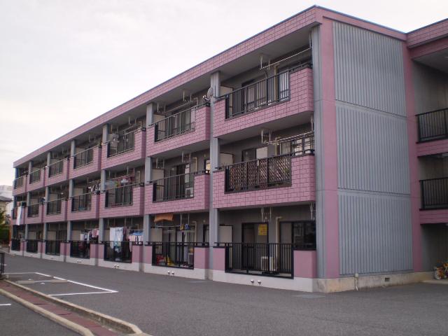 コージィ・コート
