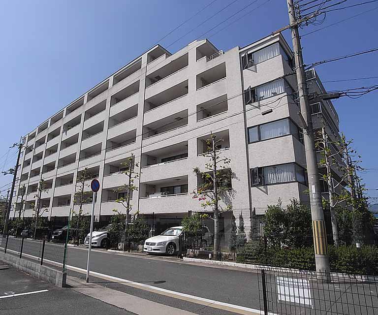 ネバーランド桂