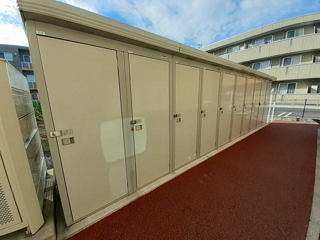 プラシード梅の木