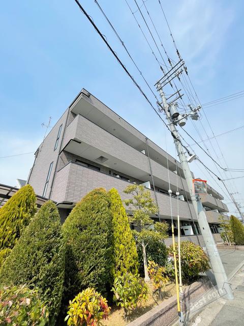 アンプルールフェール ルミエール富木
