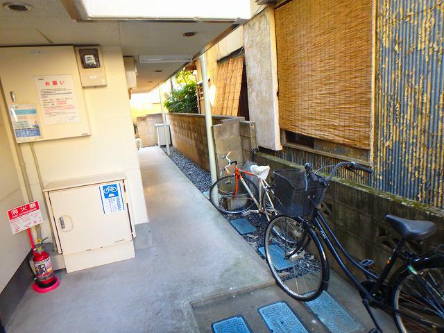 LUMIELE S・KII