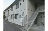 テラス花水木