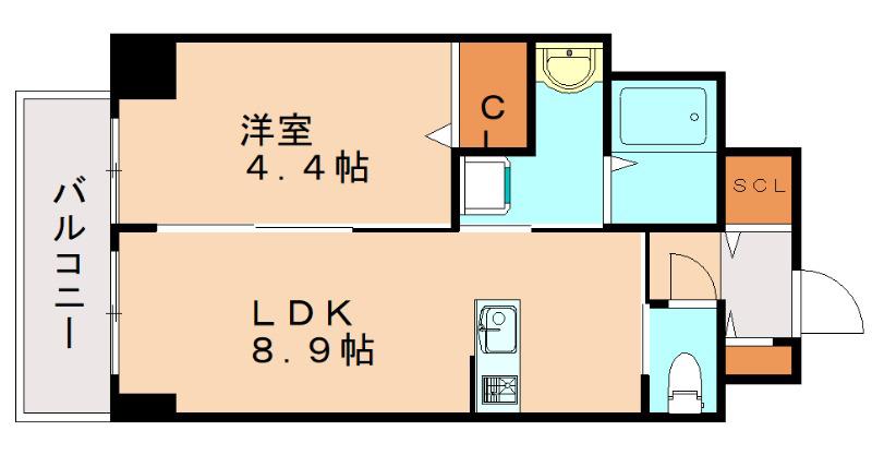 セラヴィ箱崎(1LDK/6階)の間取り写真