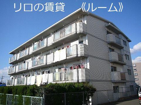 エクセルいまはせ