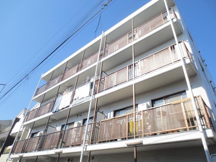 ステラマリス