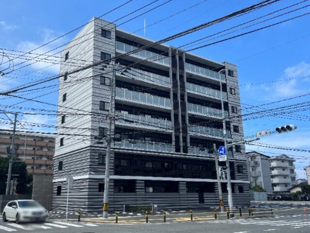 レイ和白