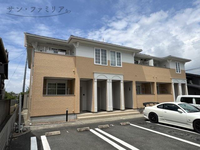 プラシードM