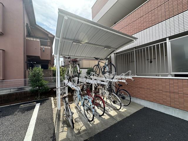 ルピナス