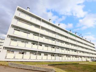 ビレッジハウス上野幌3号棟(2LDK/5階)