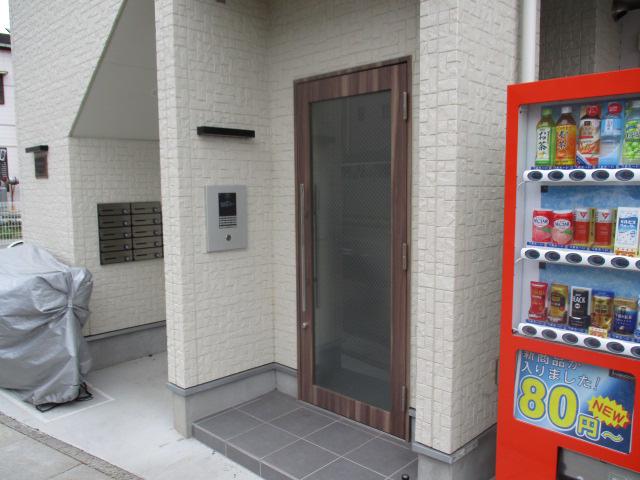 RAFFINE芝