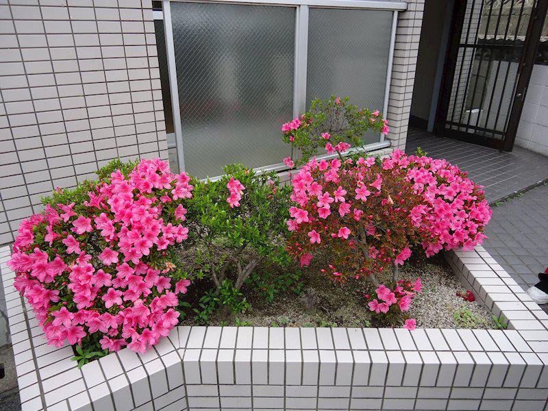 グランナヴィール北西