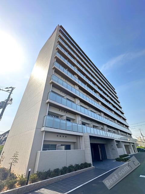 MV.MS大阪新加美