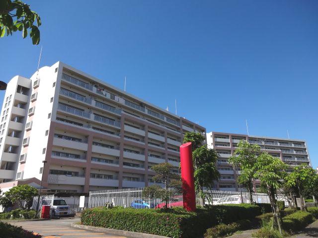 ダイヤカルムB