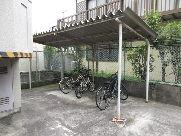 シャトレ大針