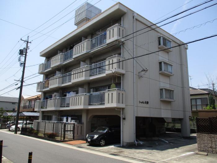 シャトレ大針