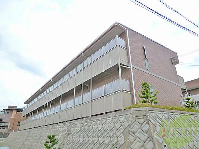 アンプルール クラージュコリーヌシャンI