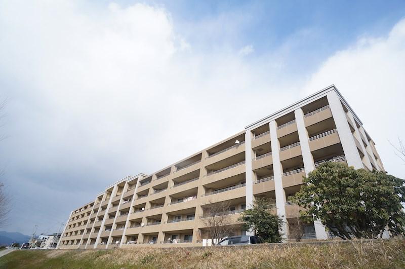 ネバーランド西京極