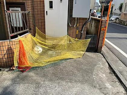 グレース大南