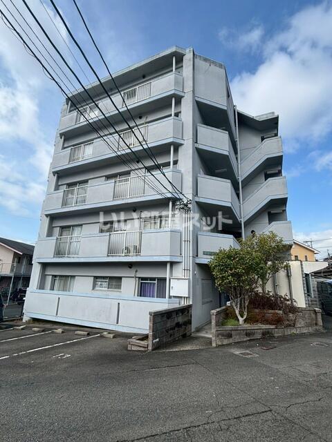 グリーンフィールドM