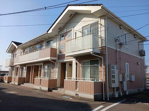 ネムス C