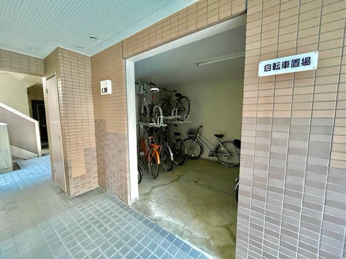 コウジィーコートマロ-