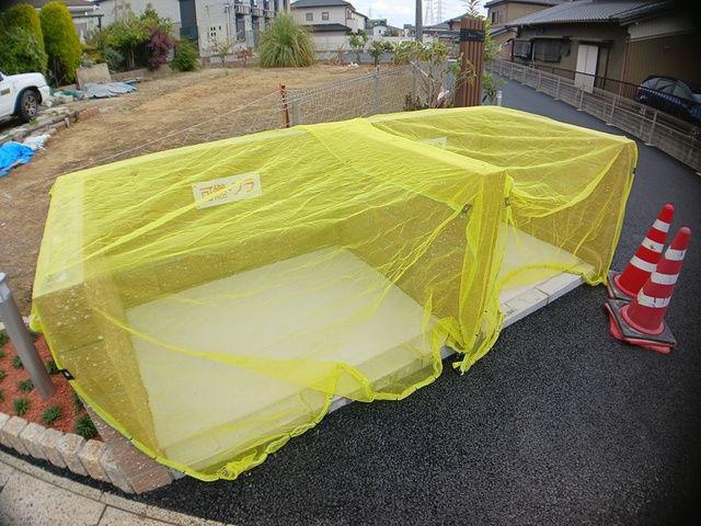 アイリス