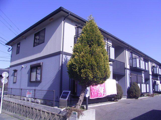 パルティーレ