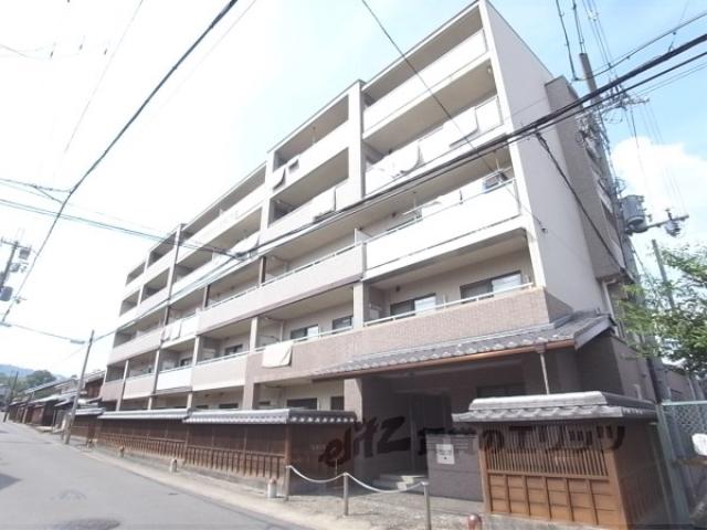 プロスペクト桂