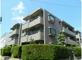 桜丘コート