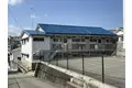 スズランウエスト